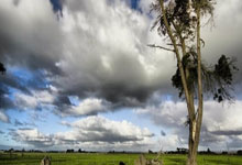 2010年世界杯西班牙的阵型图有什么特点？